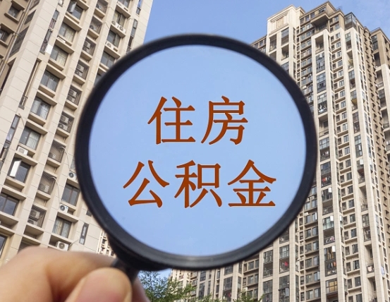 五指山我的个人公积金查询（五指山公积金查询 个人 余额查询）